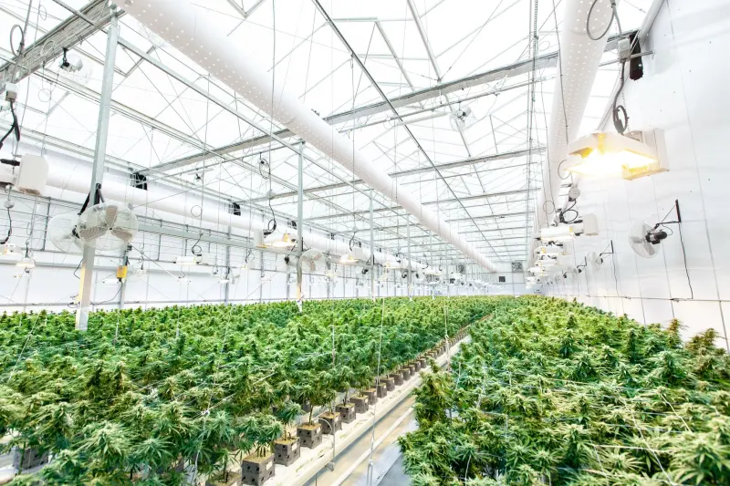 实业投资与企业运营管理协同模式解析封面图